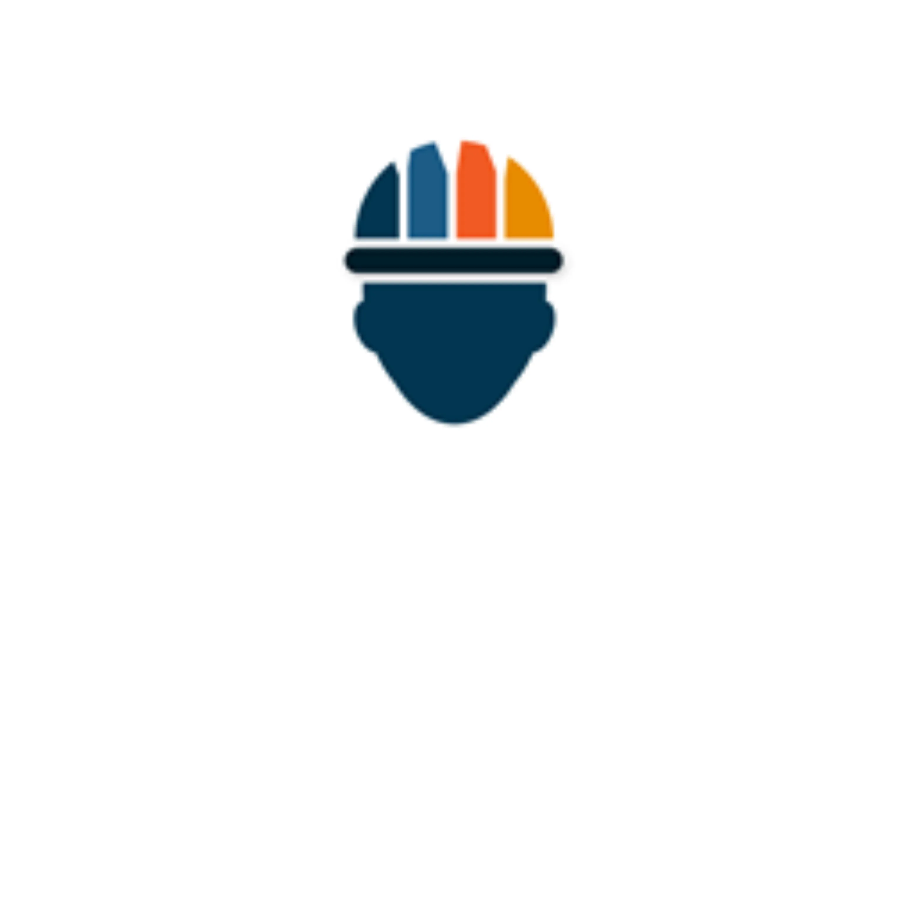 Stas Organizer logo